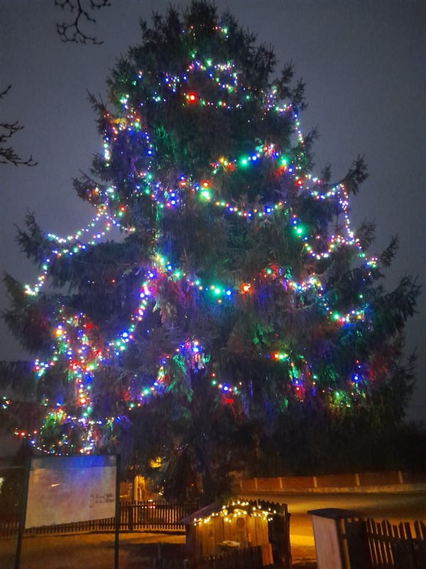 Po roce se náš strom  opět rozsvítil. Všem se v očích rozzářily malé plamínky  radosti takové, jaké člověk nosí jen o Vánocích.
