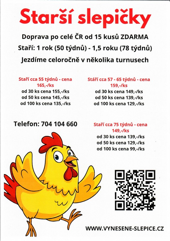 Nabídka prodeje starších slepic